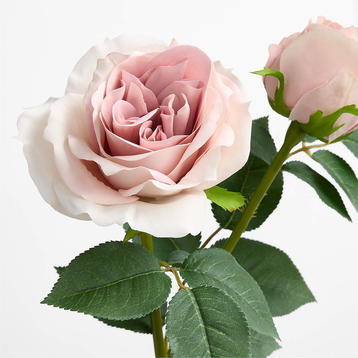 Faux Tea Stained Rose Stem 18" by Abigail Ahern + Reviews | Crate & Barrel | Crate & Barrel