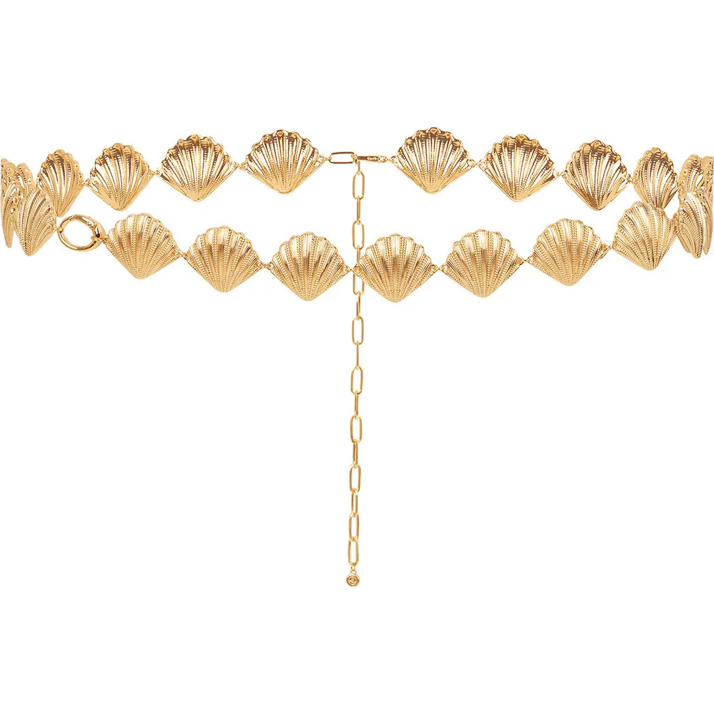 Ettika Scallop Shell Body Chain in Gold at Nordstrom | Nordstrom