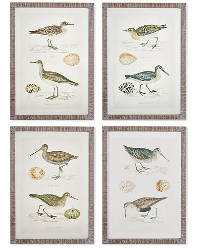 Set Of 4 Coastal Birds Study | Gilt & Gilt City