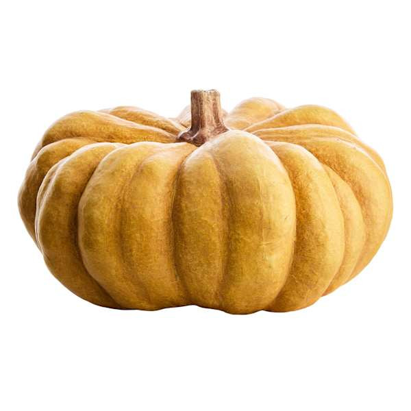 Yellow Pumpkin, 5.9" | At Home
