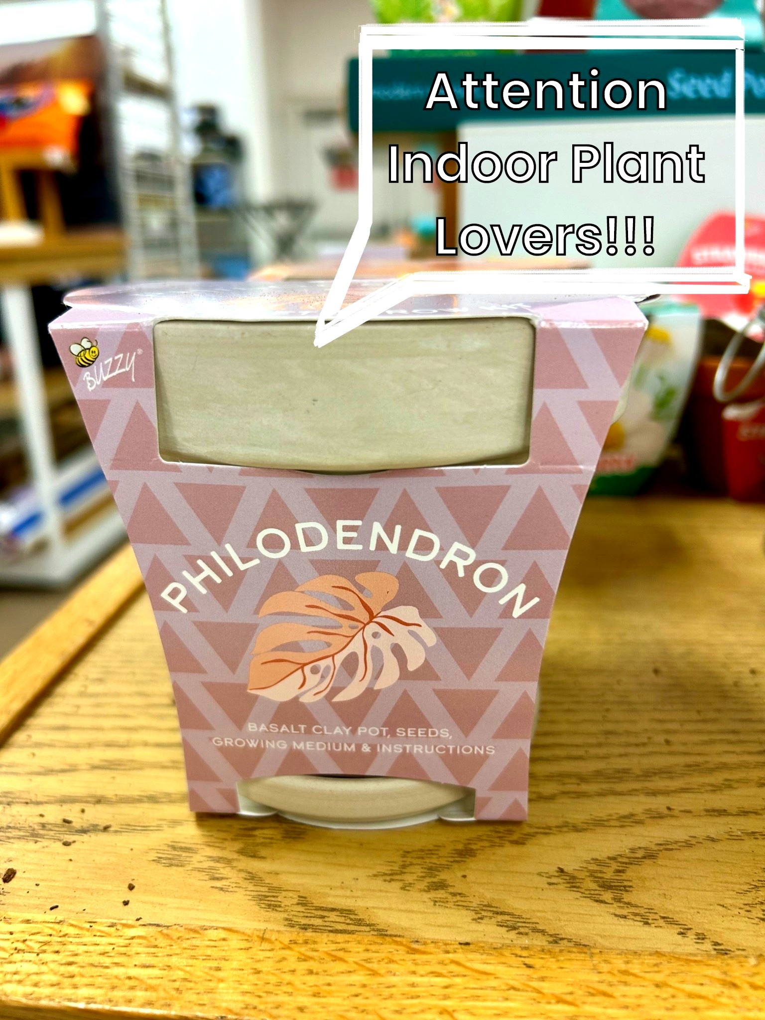 How cute is this?!? I LOVE growing plants from seed, and as someone who’s trying to build up their indoor plant collection, this is a fun and inexpensive way to do so. I nearly walked out of the store with this one, but a quick google search informed me that philodendrons are toxic to cats and dogs. Now, I love plants, but I love my furry family members more, so back on the shelf this went. But, if you’re in a pet free home, this would be a fun activity. There are also coleus and eucalyptus varieties (which are best for pet free homes, as well).

#LTKSaleAlert #LTKHome