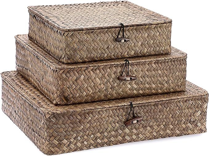 Hipiwe Flat Wicker Basket Bins with Lid - Set of 3 Handwoven Seagrass Storage Basket Shelf Basket... | Amazon (US)