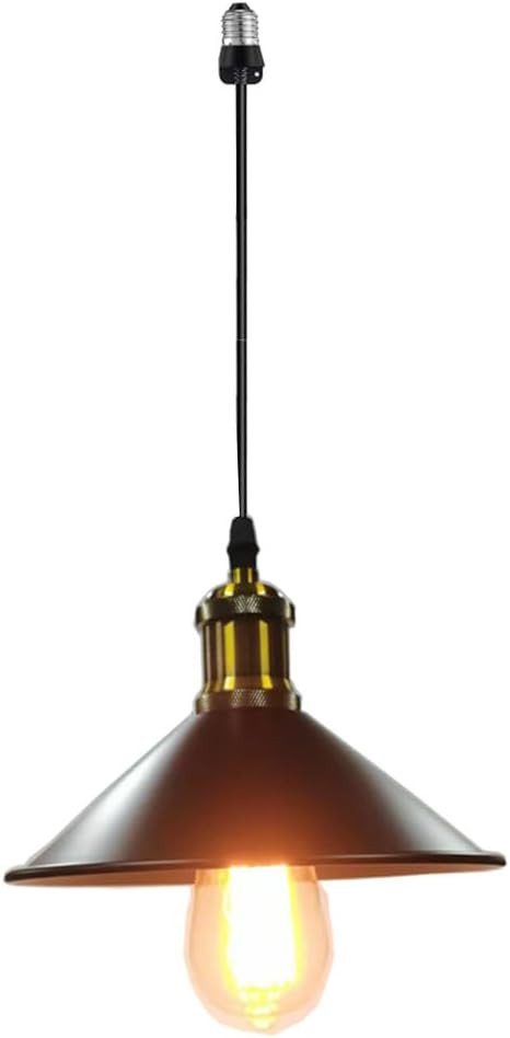 Screw in Hanging Light Fixture Instant Pendant Light,Recessed Light Conversion Kit with E26 Screw... | Amazon (US)
