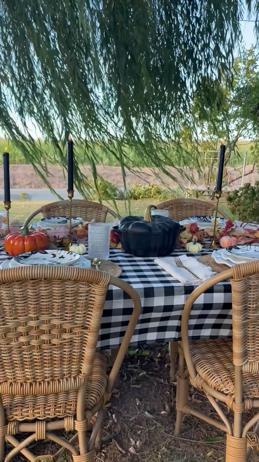 #ad This gorgeous fall-inspired black and white plaid tablecloth serves as the perfect base for my Halloween tablescape! I added a fall garland, brass candlestick holders, and black taper candles from @wayfair as the centerpiece. This timeless pumpkin shaped cast iron Dutch oven is one of my favorites! I have had it for a few years now, and I always get compliments on it! These black and white Halloween plates really elevate this Halloween tablescape! #wayfair #wayfairpartner

#LTKSeasonal #LTKHome #LTKSaleAlert