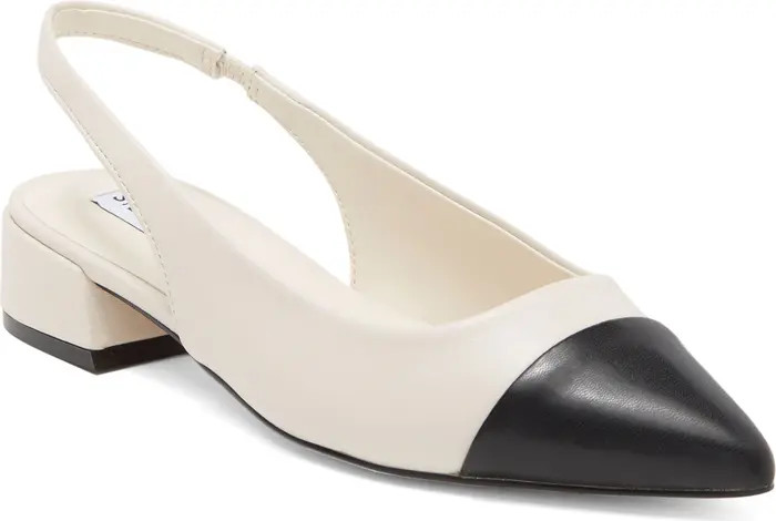 Coralyn Slingback Pointed Toe Flat (Women) | Nordstrom Rack