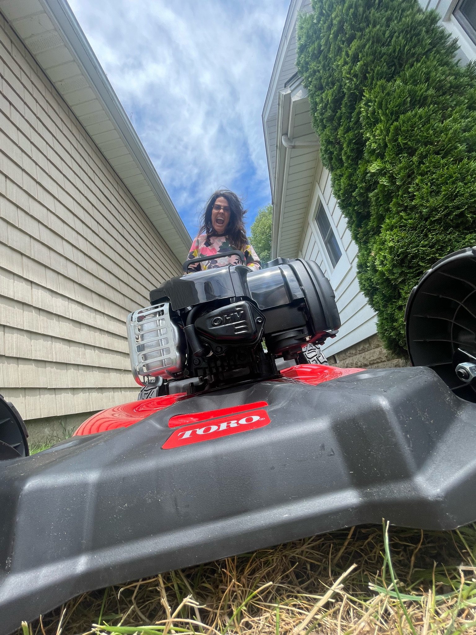 Fresh cut grass 