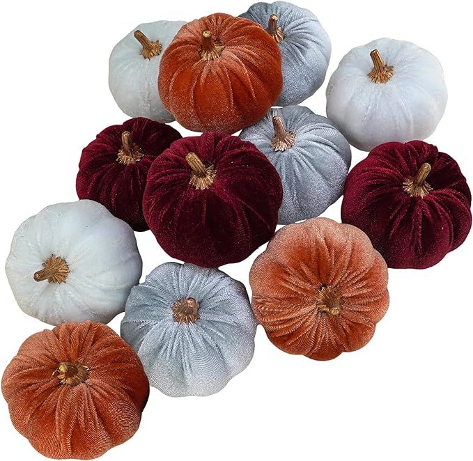 Winlyn 12 Pcs Assorted Small Faux Rustic Velvet Pumpkins Decorative Fabric Pumpkins Foam Pumpkins... | Amazon (US)