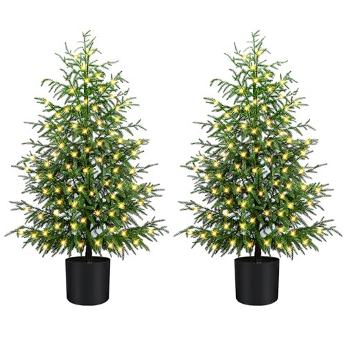 ENVEN 4FT Pre-Lit Artificial Norfolk Pine Christmas Tree – Realistic Potted Tree with 100 LED Lights & 8-Function Battery Box, Pre-Assembled Faux Holiday Décor for Indoor Use (2) | Amazon (US)