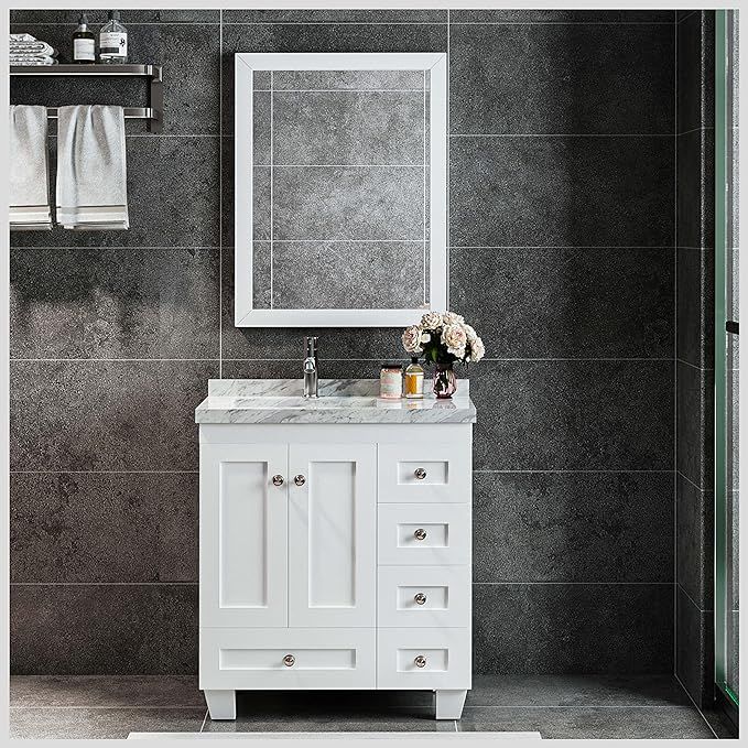 Eviva Garci Bathroom Vanity with Sink 30 inches Single Faucet Bathroom Sink Cabinet in White Bath... | Amazon (US)