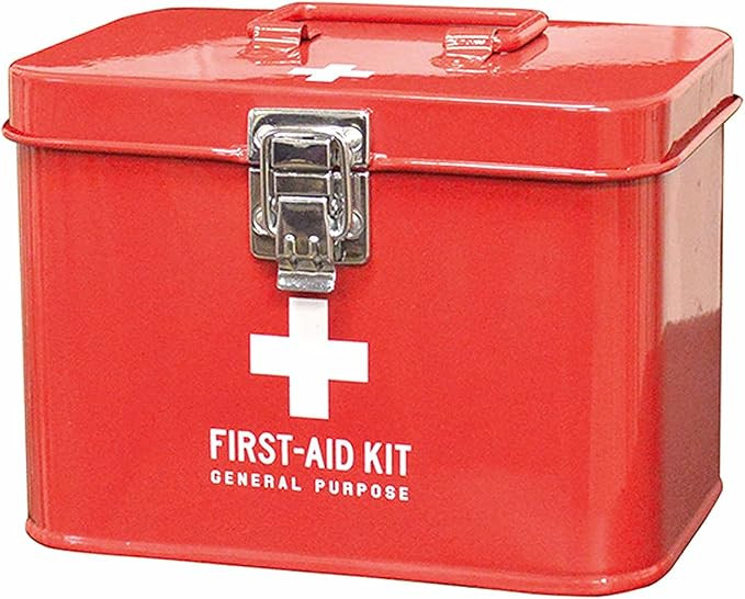 Palmato Medico 161370 First Aid Box, Small, Red, W 6.5 x D 4.3 x H 4.7 inches (16.5 x 11 x 12 cm)... | Amazon (US)