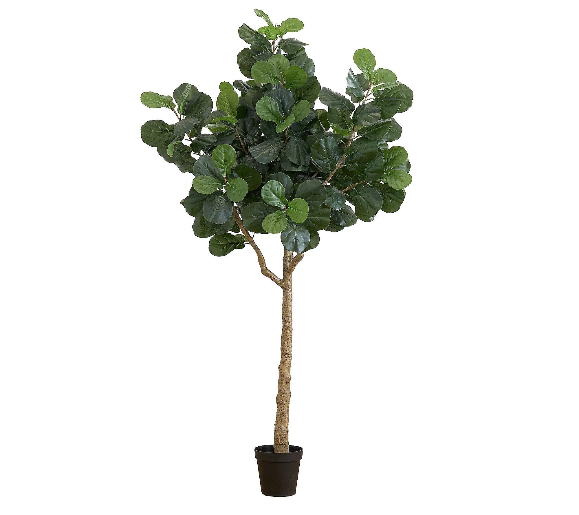 Nearly Natural 10-ft Artificial Fiddle Leaf Fig Tree | QVC