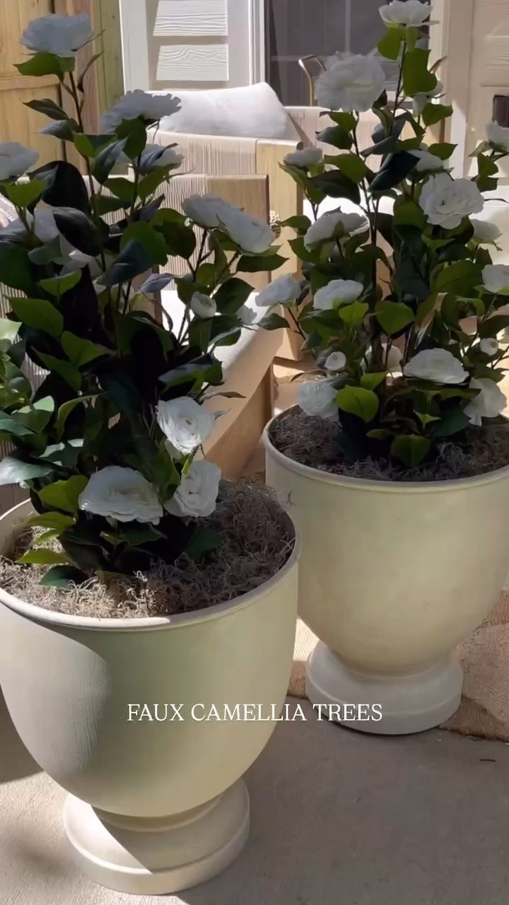 Flowers that look good year round🥰

Linked a similar planter🤍



Floral, camellia trees, landscaping, porch, patio decor, spring, home, sidneymarieduke 

#LTKHome #LTKSeasonal