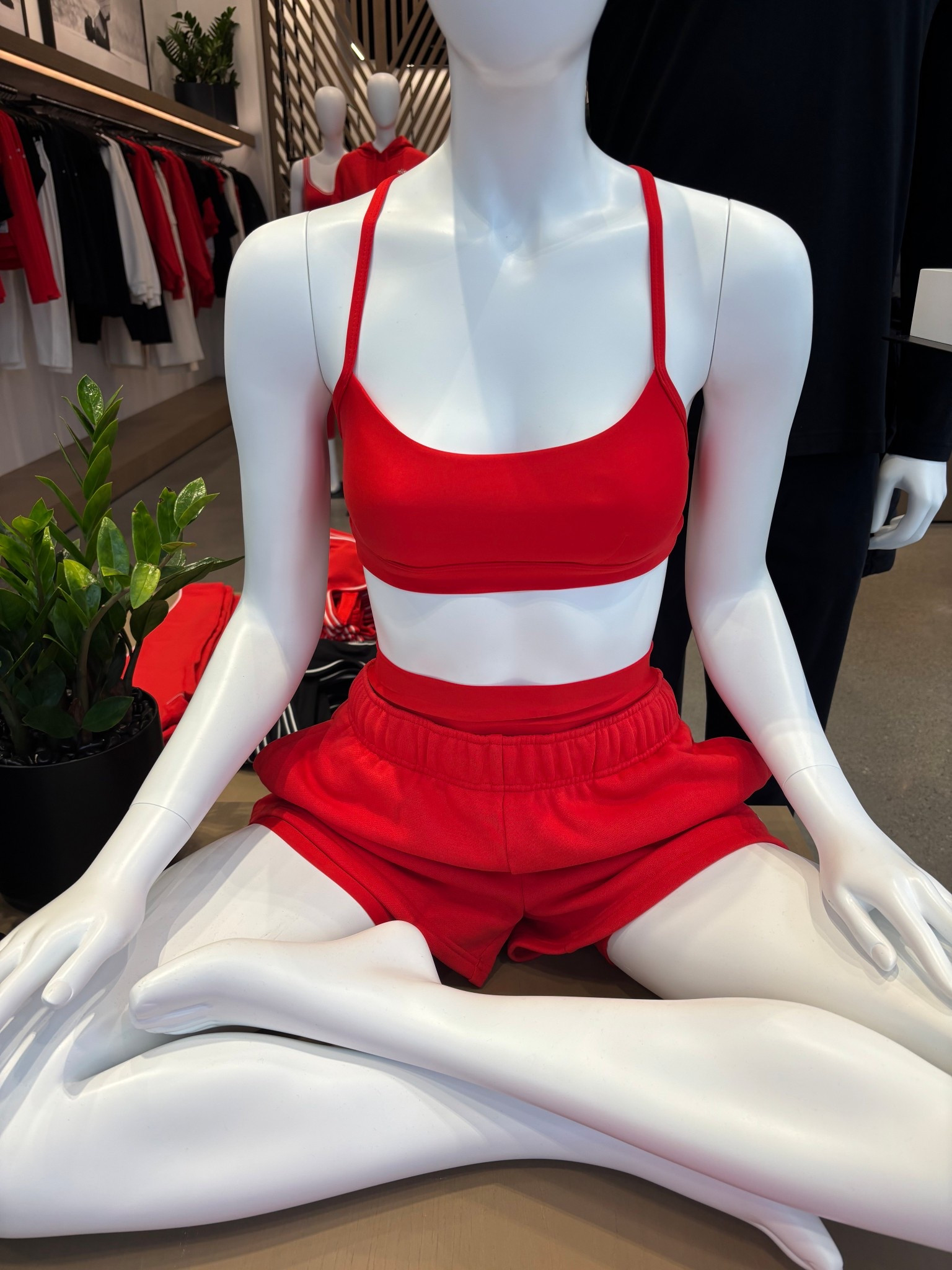 Alo yoga 
Red workout pieces and sets 

#LTKActive #LTKHoliday #LTKGiftGuide