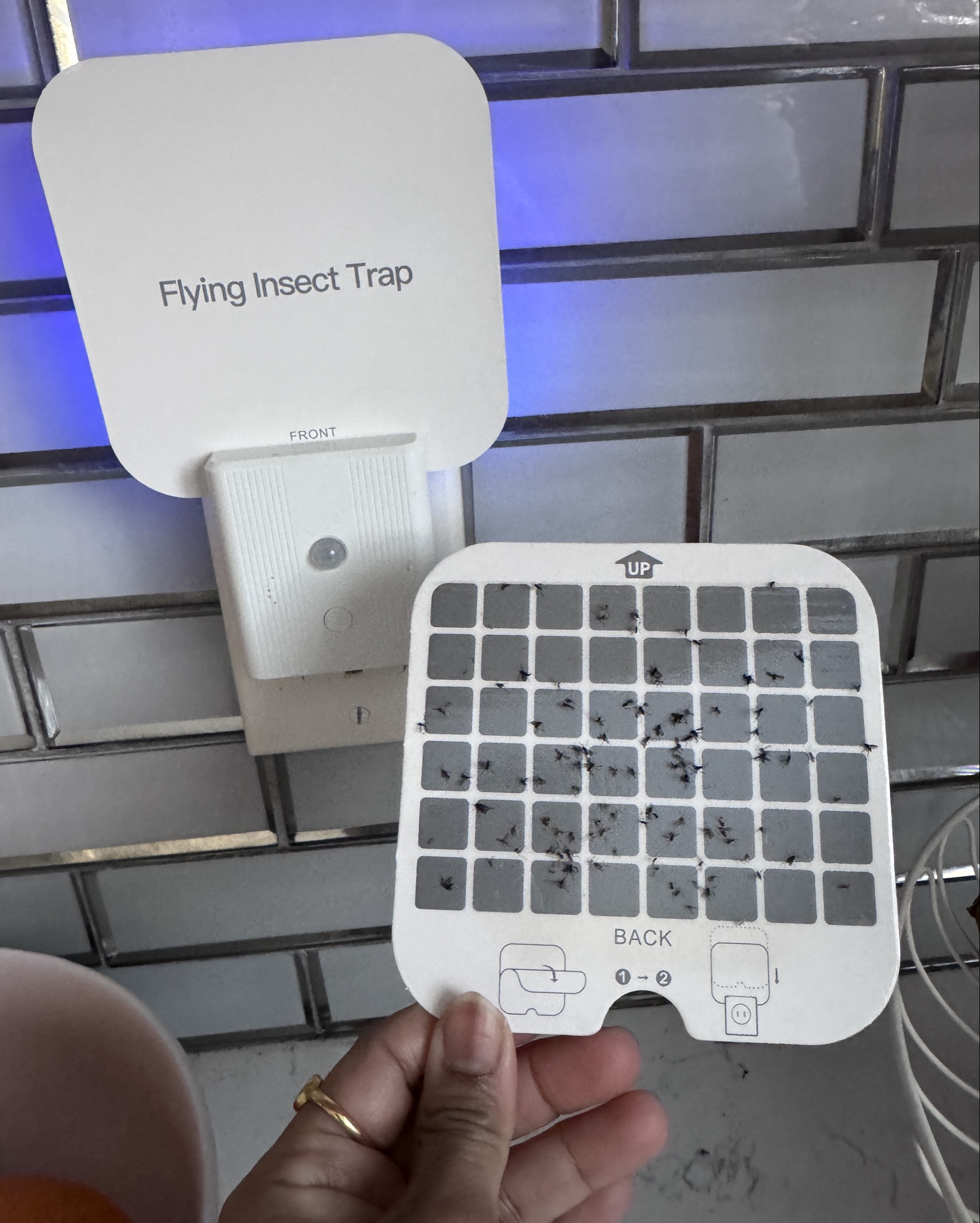 lot fruit flies everywhere 🥺 this works , need to buy refills, also I use peppermint oil in my diffuser 👌🏽

#LTKHome #LTKmomlife #LTKdayinmylife