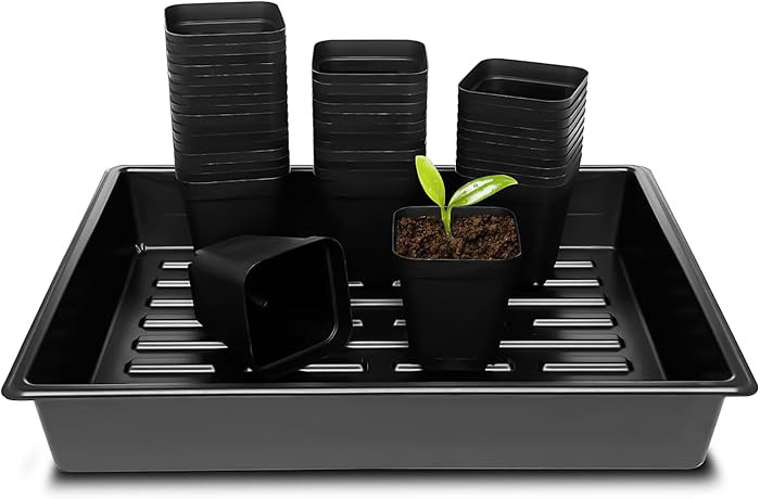 RooTrimmer 3.15 inch (8CM) Square Nursery Pots 100 pcs, Sturdy Seedlings Trays 5 Pcs, Seeds Start... | Amazon (US)