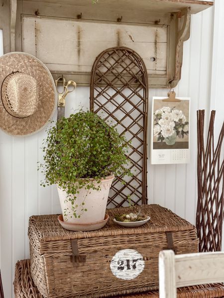 I found some baskets for you to mimic my antique basket trunks I have stacked! Why I love them? Amazing storage, they add cozy texture, & they have that collected cozy cottage vibe I love so much. 

#LTKstyletip #LTKFind #LTKhome