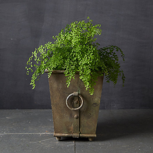 Ring Handle Iron Taper Planter | Terrain