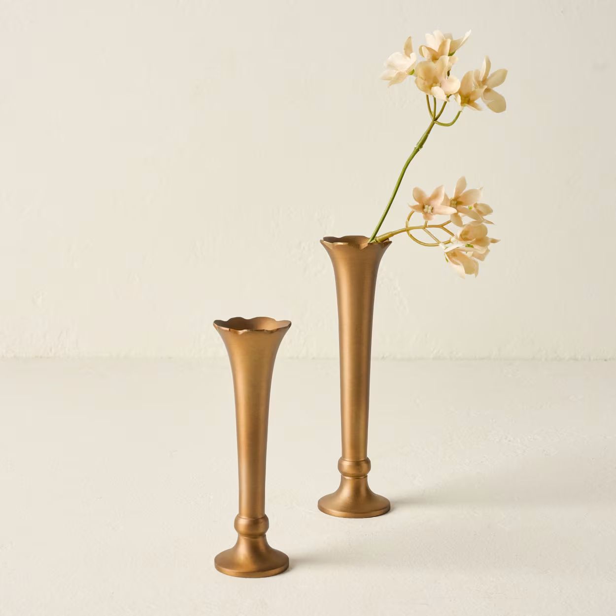 Flannery Scalloped Brass Bud Vase | Magnolia
