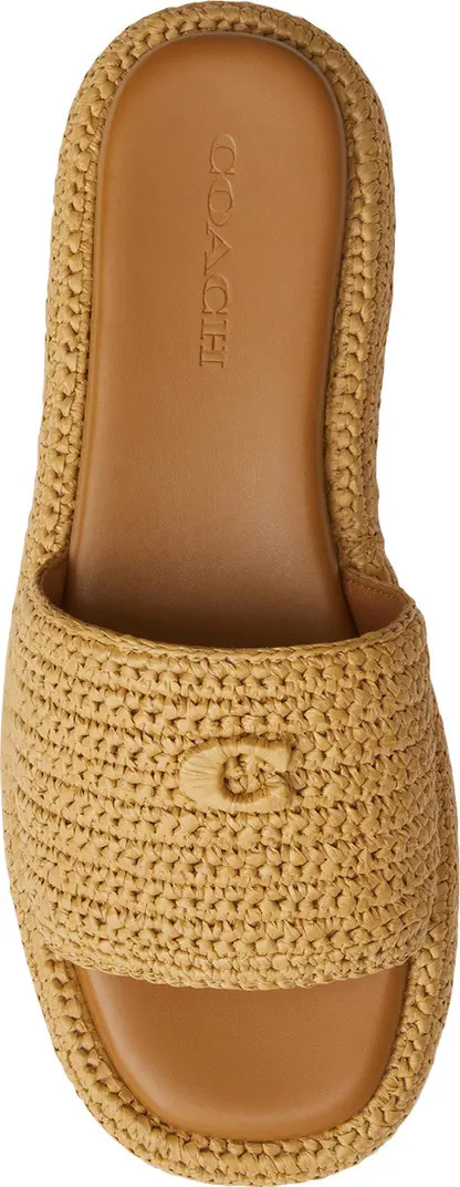 Sculpted C Raffia Flatform Slide Sandal (Women) | Nordstrom