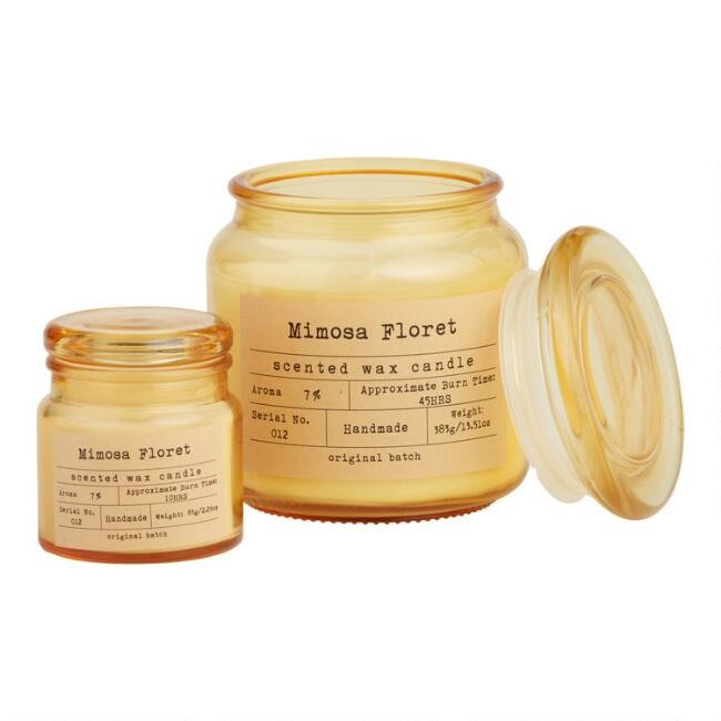 Mimosa Floret Apothecary Filled Jar Candle | World Market