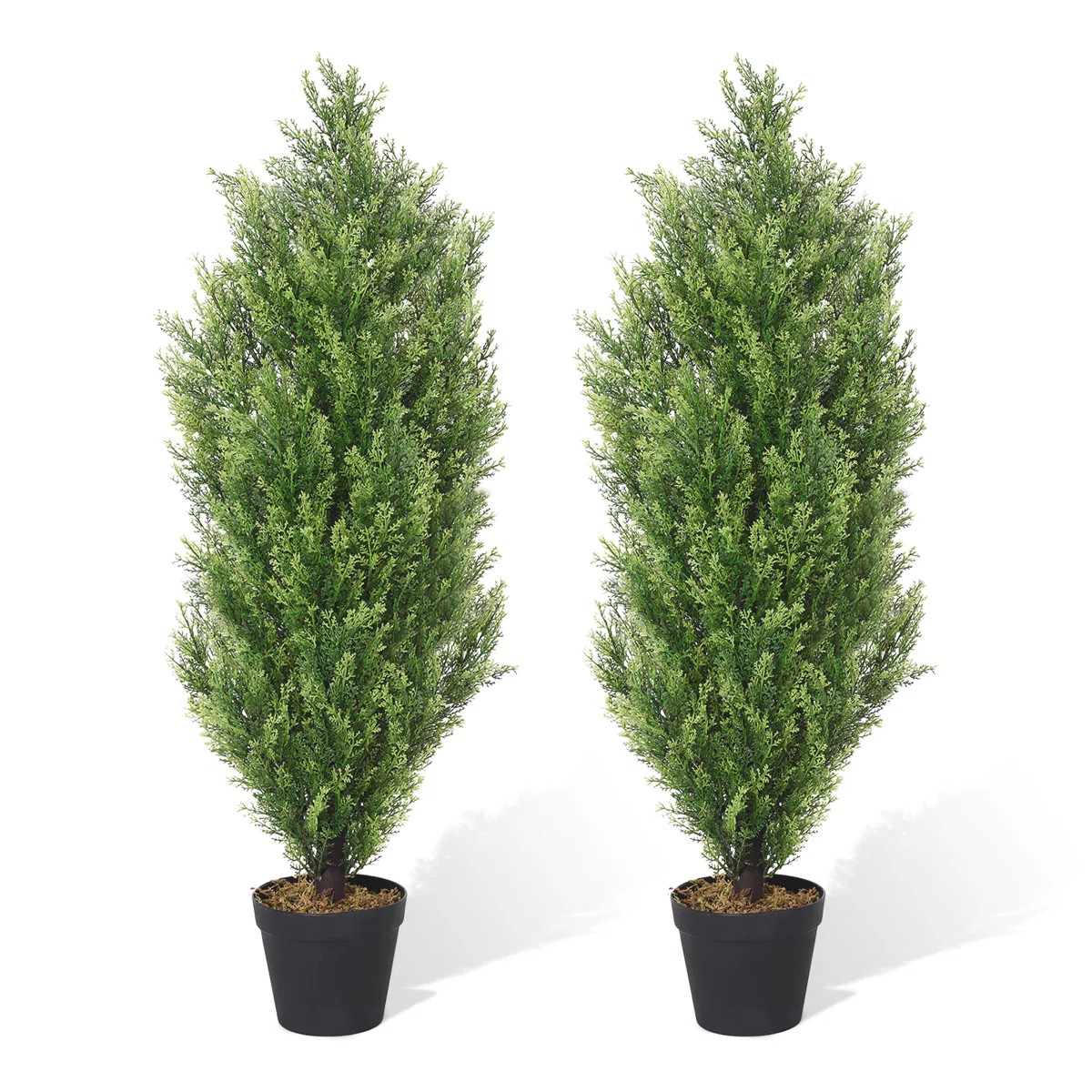 Faux Cedar Plant in Pot (Set of 2) | Wayfair North America