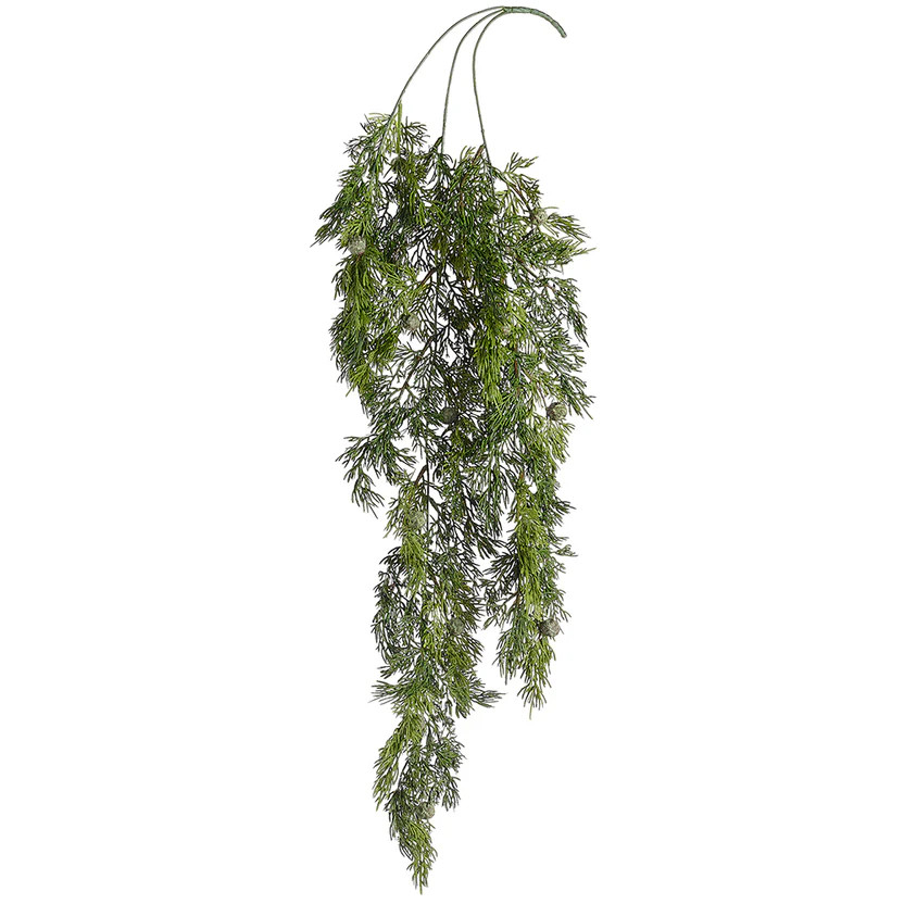 Juniper Hanging Bush | Gatehouse No.1