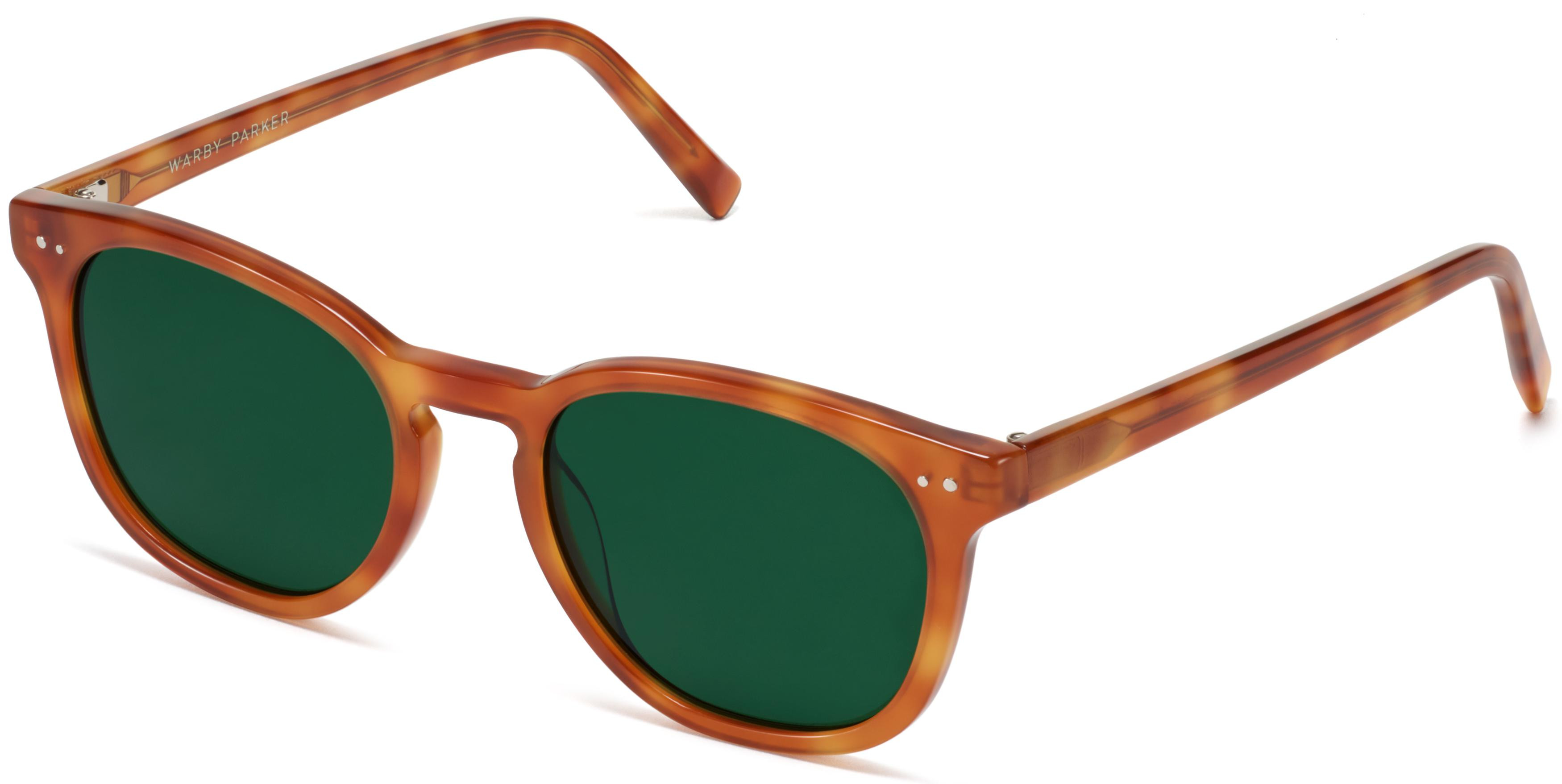 Toddy | Warby Parker (US)