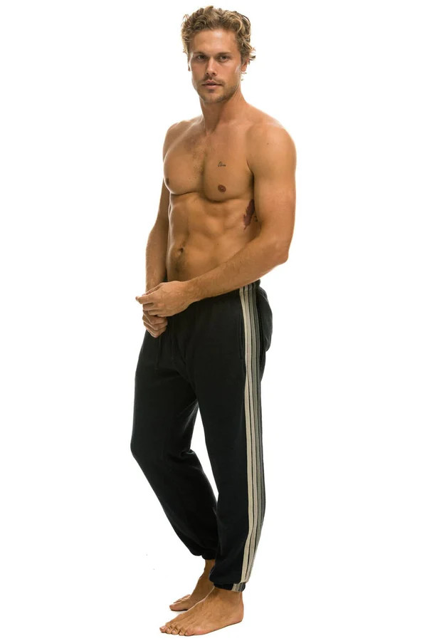 5 STRIPE SWEATPANTS - CHARCOAL // GREY | Aviator Nation