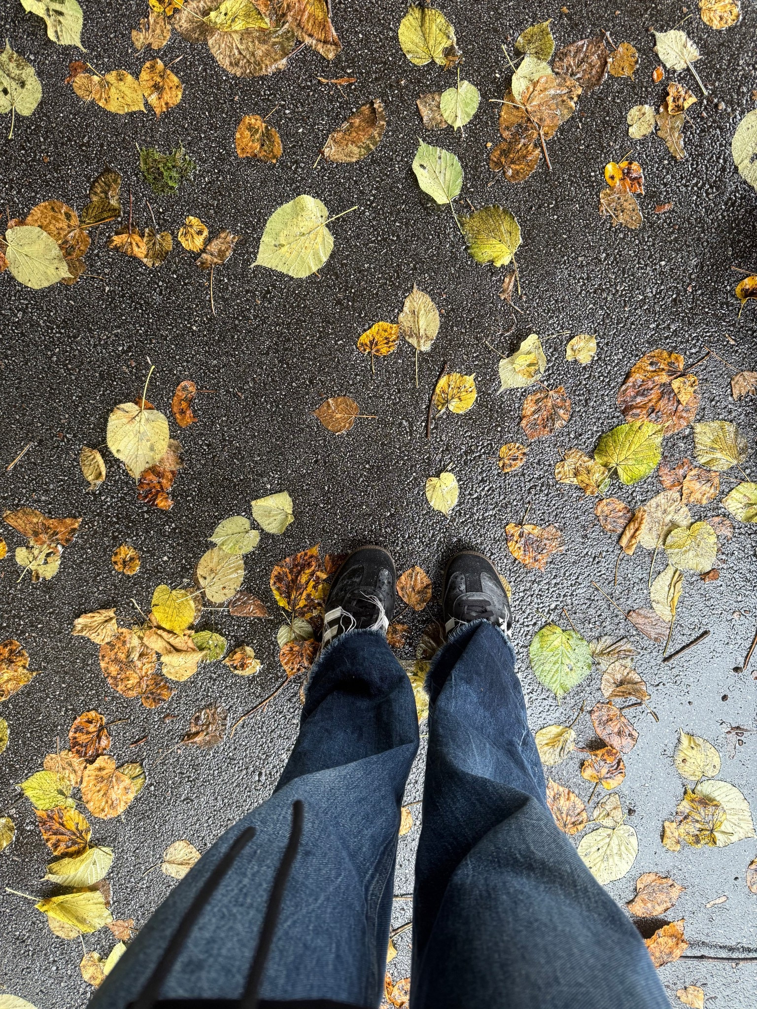 Fall is here 🍂🤎 I’ve been living in my @adidas sambas 🫶🏽 definitely my #1 shoe of 2025 ☁️ what’s your go-to pair this season?

#LTKStyleTip #LTKSeasonal