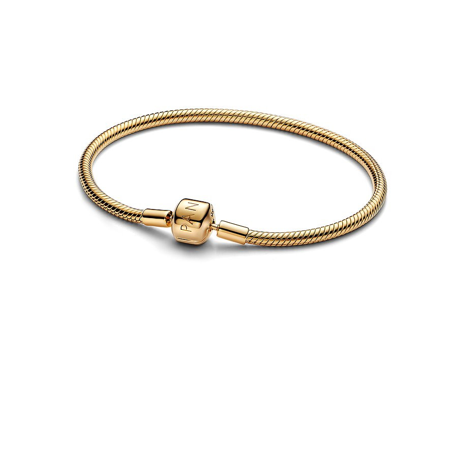 Pandora Armband Moments | Christ (DE)