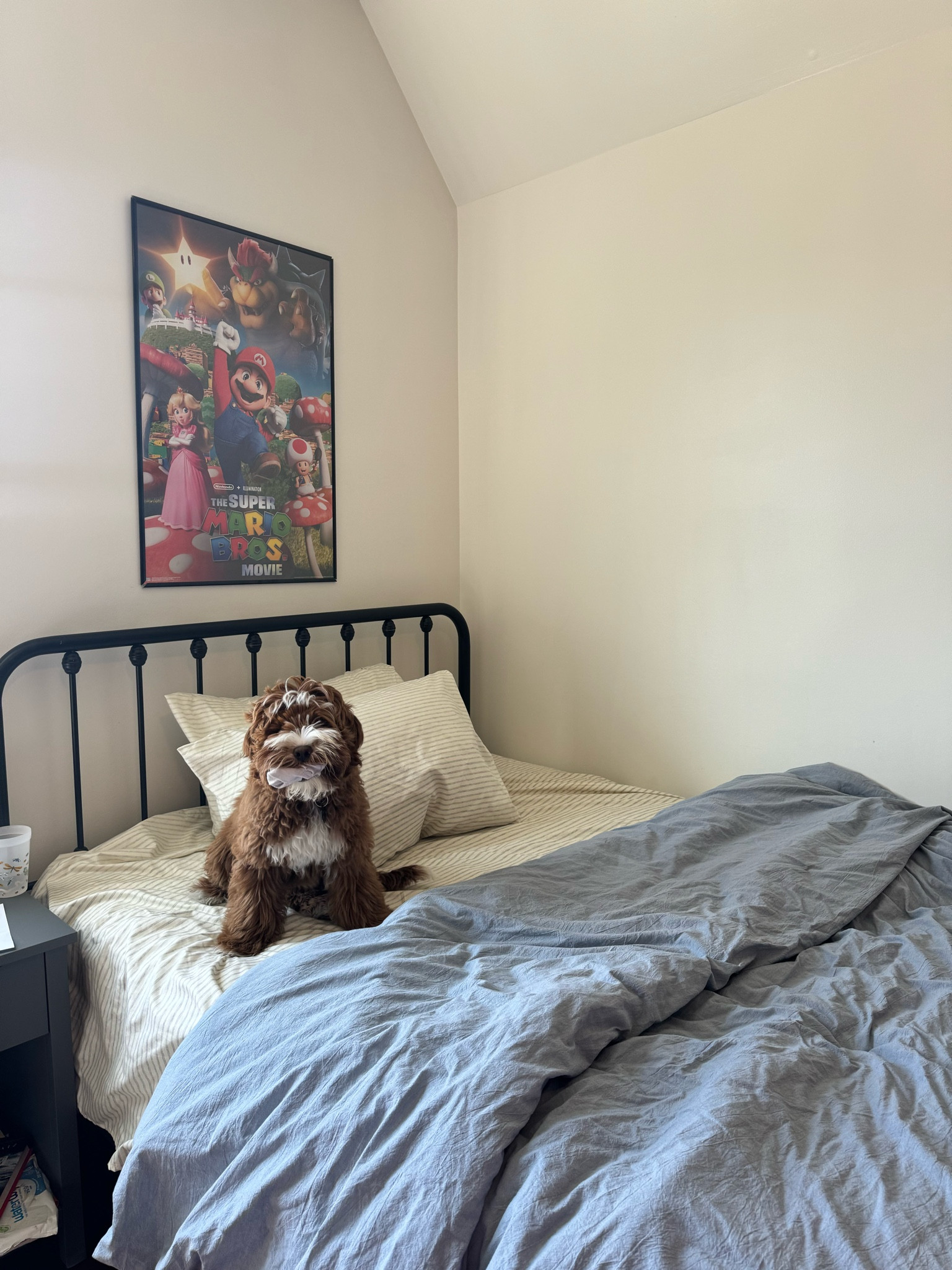 The boys’ bedroom details! 

Home decor, boys, boy room, bed, Amazon, Target, wayfair, comfy, cozy, homey, mom favorites, family 

#LTKkids #LTKhome #LTKfamily