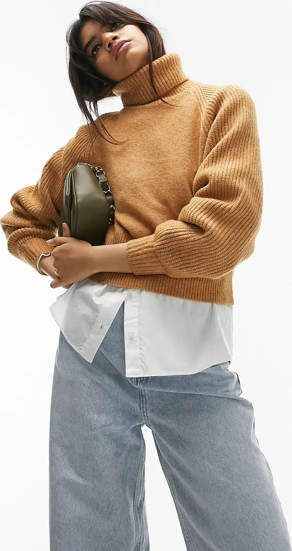 Rib Turtleneck Sweater | Nordstrom