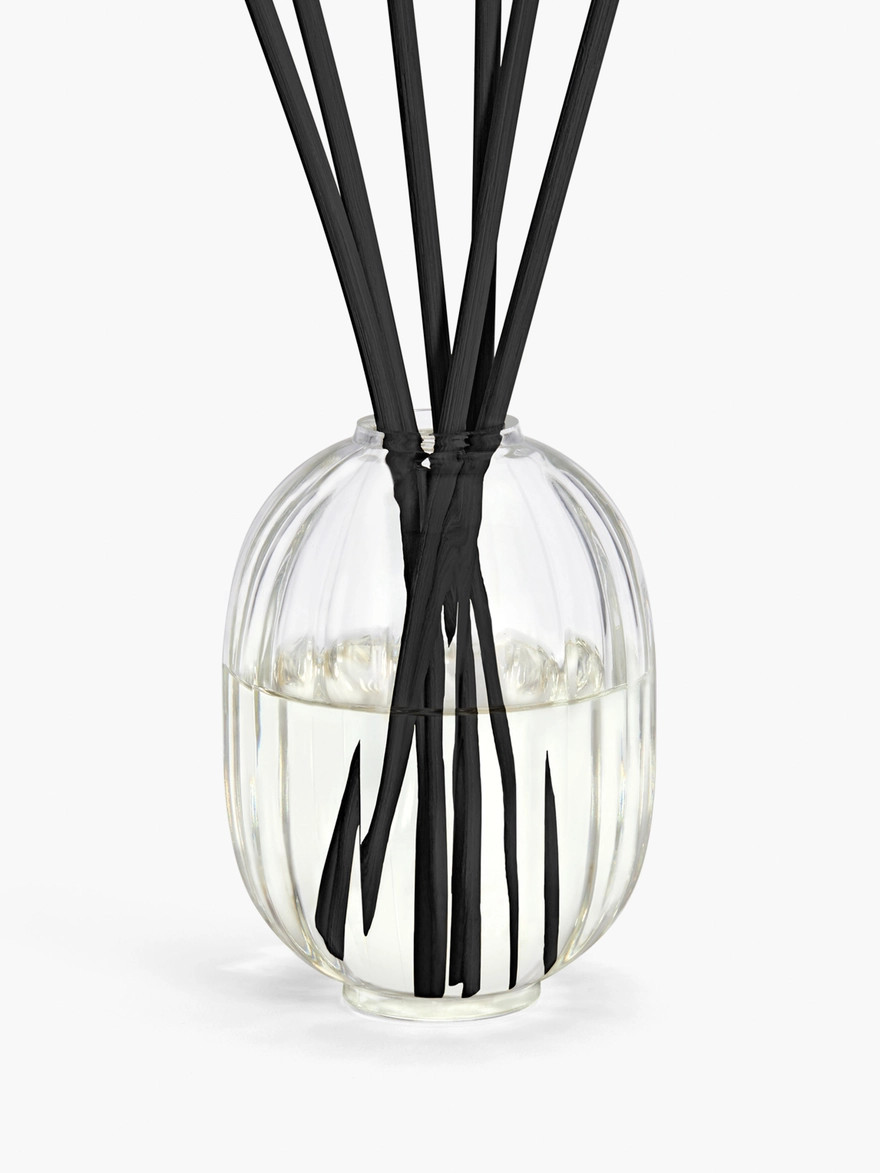 Roses
            Home Fragrance Diffuser | diptyque (US)