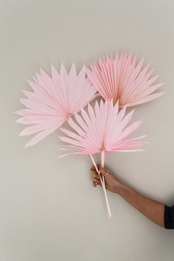 PINK DRIED PALM Leaves Decor for Tropical Decoration  Wedding | Etsy | Etsy (US)