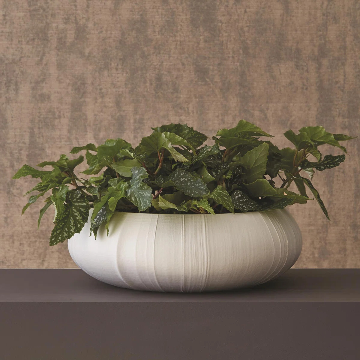 Linen Centerpiece-Soft White | Wayfair North America