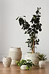 Minka Textured Pot | Anthropologie (US)