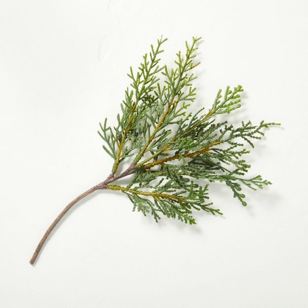 Cedar Branch Seasonal Faux Stem - Hearth & Hand™ with Magnolia | Target