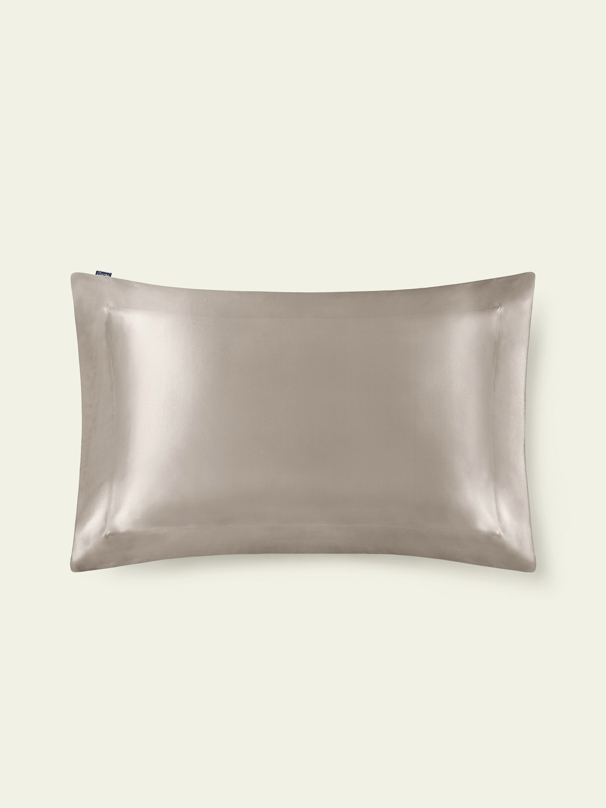 LILYSILK 100 percent mulberry silk pillowcase in silvergray