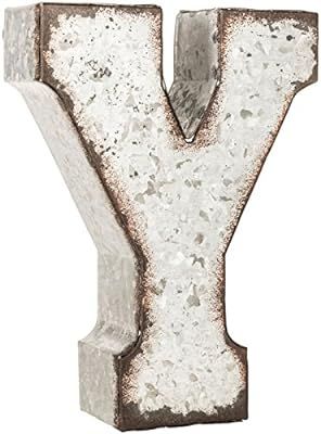 Galvanized Metal 3D Letter Y | Amazon (US)