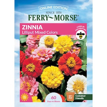 Ferry-Morse Zinnia Seeds 1.1 Gram(s) | Lowe's