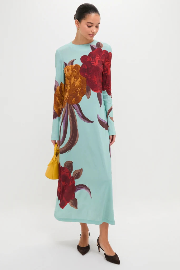 Peony Placee Long Sleeve Swing Dress | Tuckernuck (US)