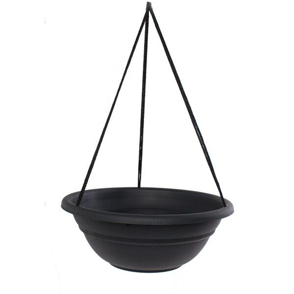 Bloem 17-inch Milano Black Hanging Basket | Bed Bath & Beyond