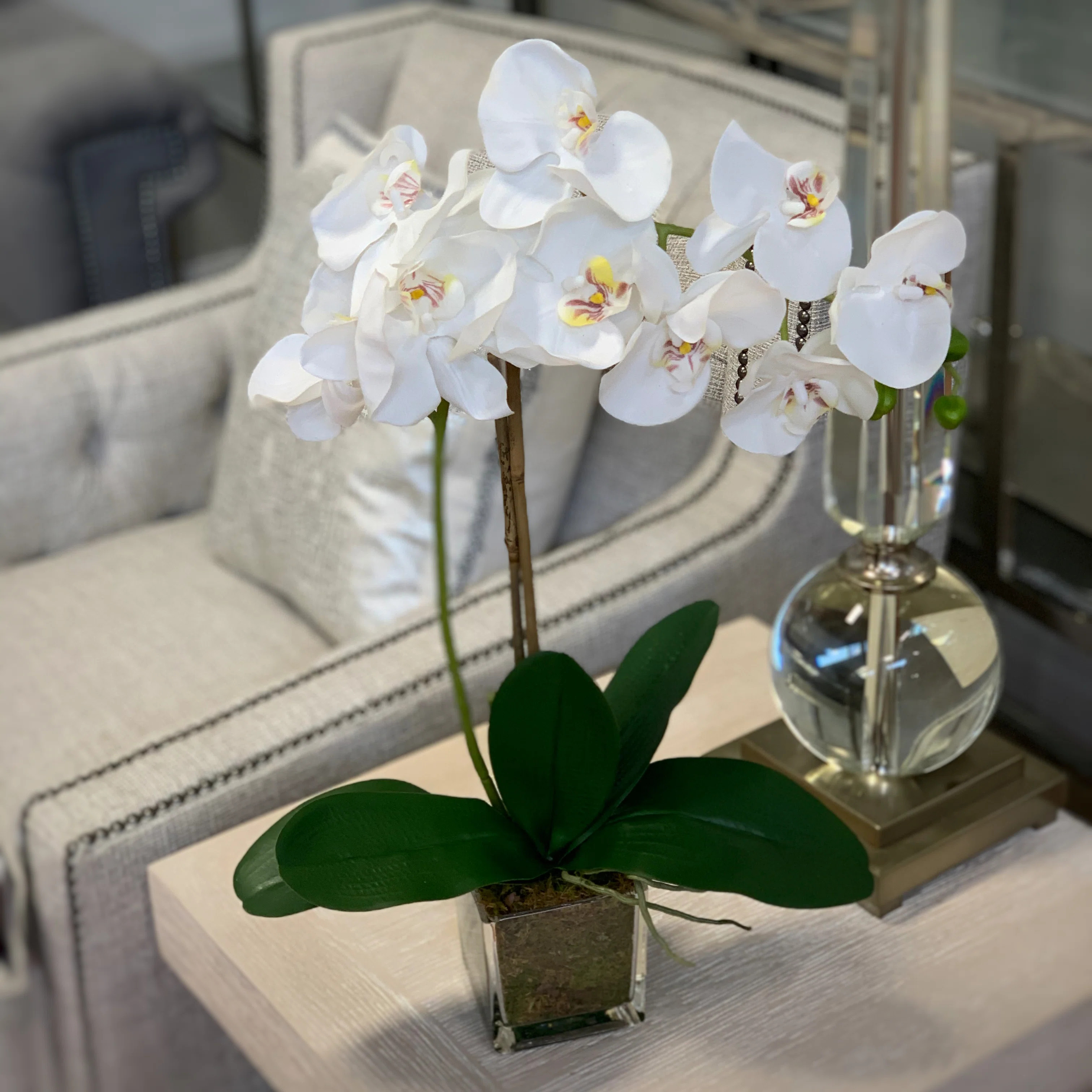 Freeport Park® Orchid Arrangement in Square Glass Vase & Reviews | Wayfair | Wayfair North America