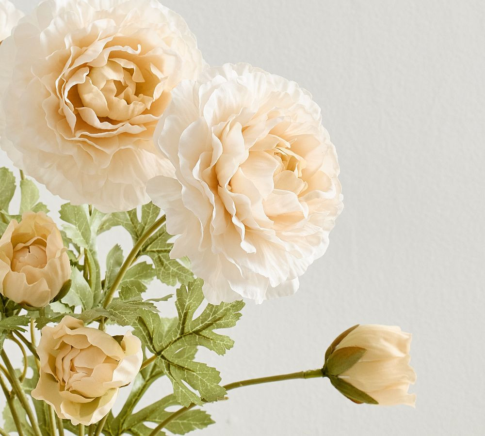Faux Cream Ranunculus Bundle | Pottery Barn (US)