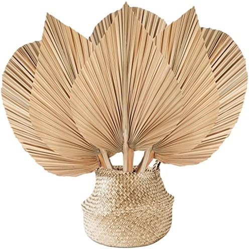 Natural Dried Palm Leaves Boho Palm Leaves Decor Heart Round Shape Palm Fans Tropical Palm Leaves... | Amazon (US)
