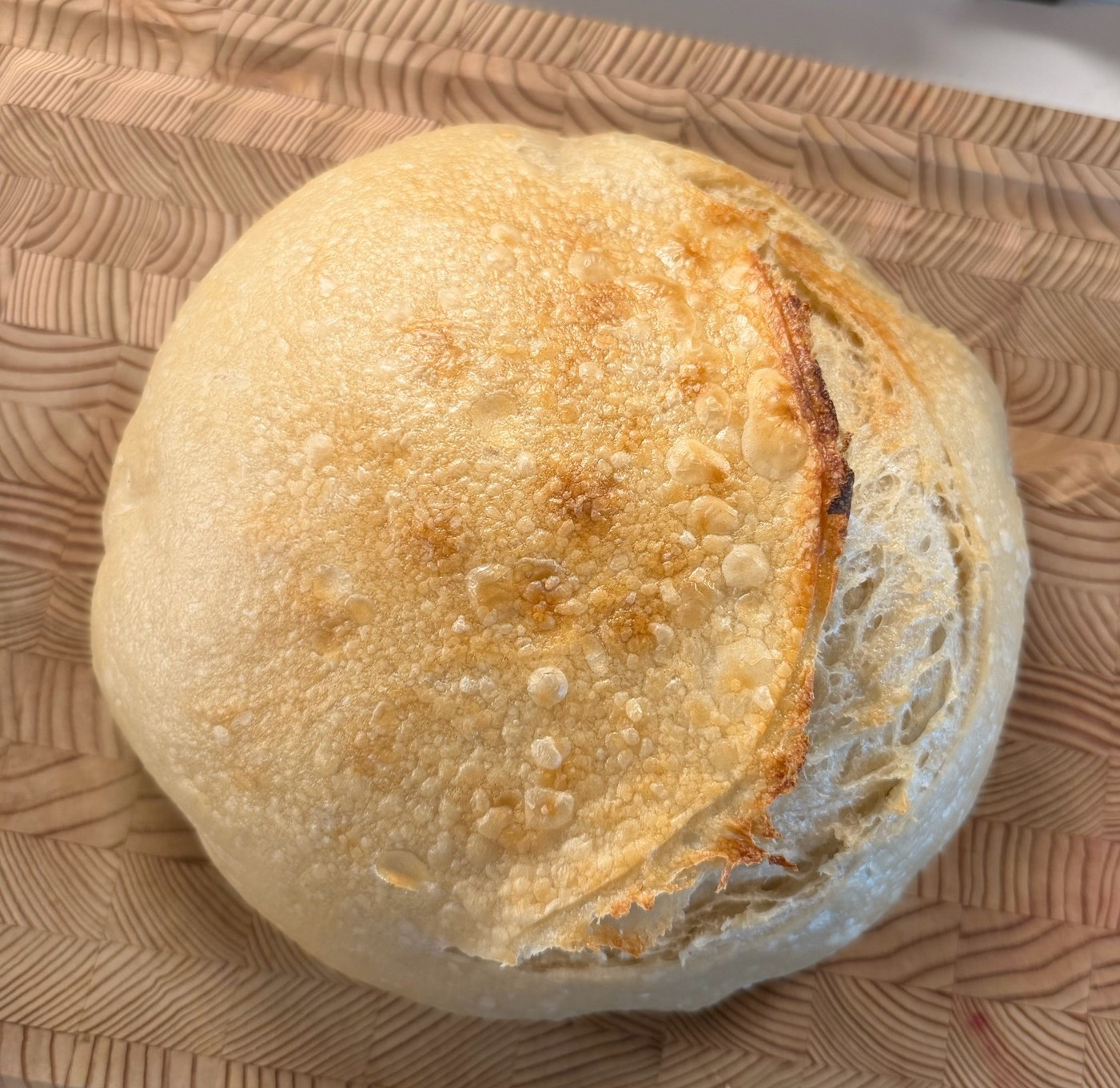 My favorite items to help me make my sourdough

#LTKfoodie