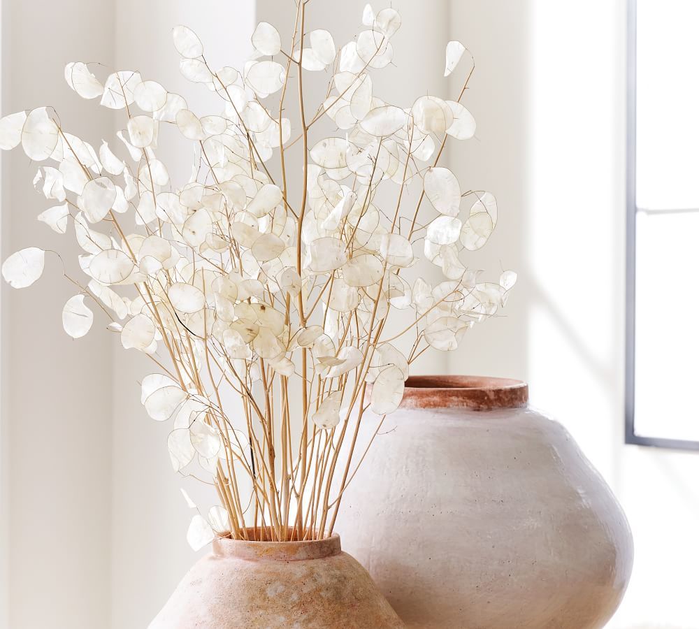 Dried Lunaria Bundle | Pottery Barn (US)