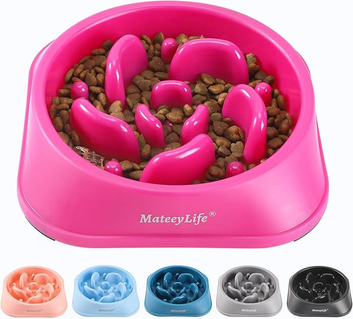 MateeyLife Slow Feeder Dog Bowls, Anti-Choking Puzzle Dog Food Bowls, Anti-Slip Interactive Feedi... | Amazon (US)