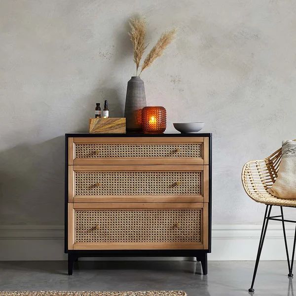 Meagher 3-drawer Woven Cane Front Accent Chest | Wayfair Professional