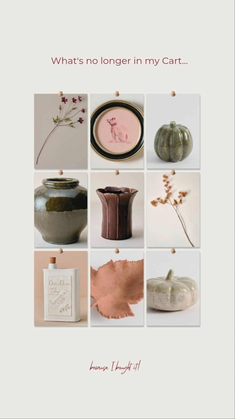 Recent fall purchases...

#LTKSeasonal #LTKHome #LTKstorytime